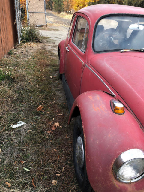 1967 Volkswagen Beetle - Classic - photo 3