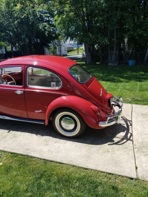 1967 Volkswagen Beetle - Classic Beetle - photo 3