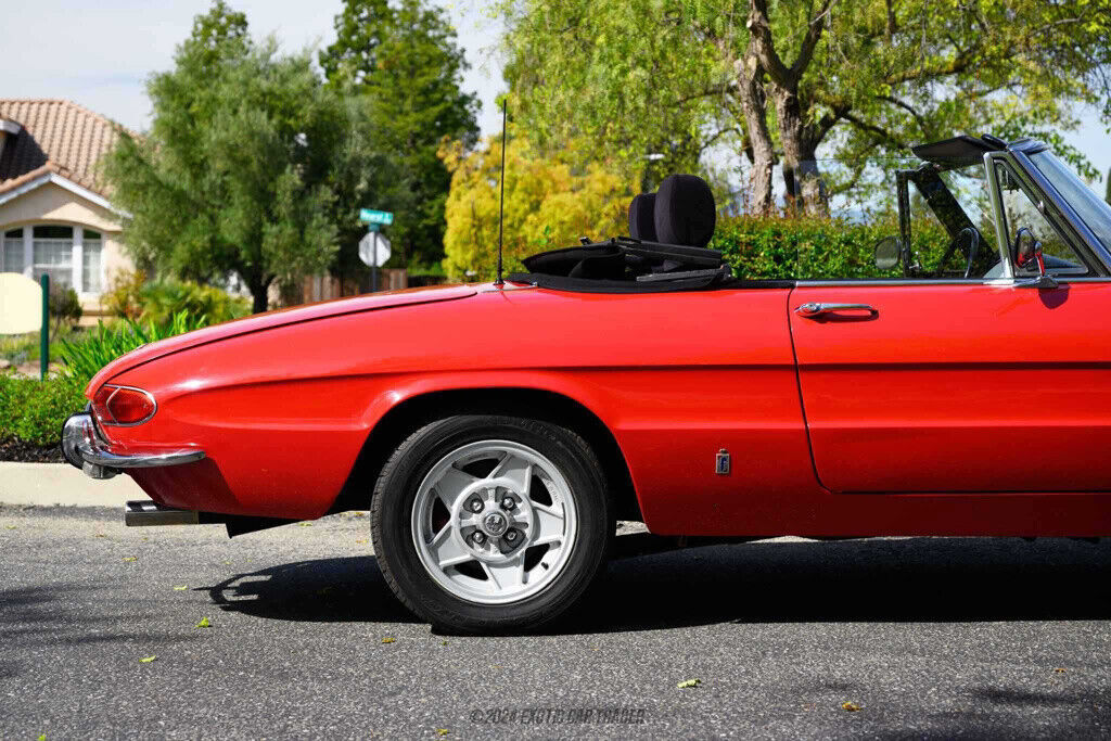 1968 Alfa Romeo Spider Duetto 1600 - photo 10