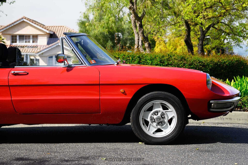 1968 Alfa Romeo Spider Duetto 1600 - photo 11