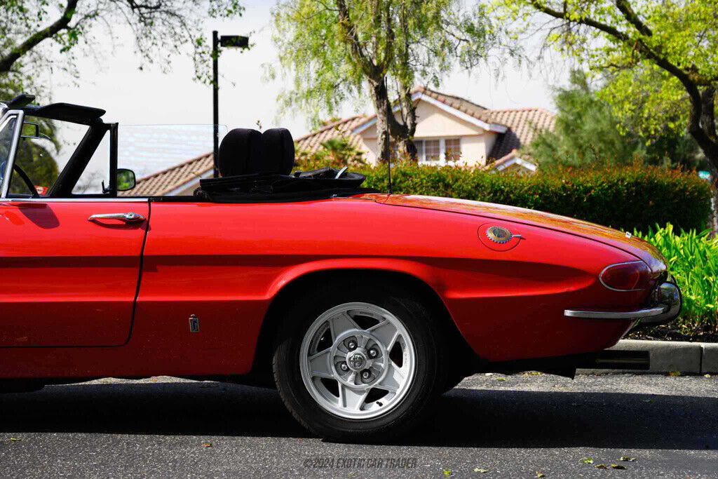 1968 Alfa Romeo Spider Duetto 1600 - photo 5