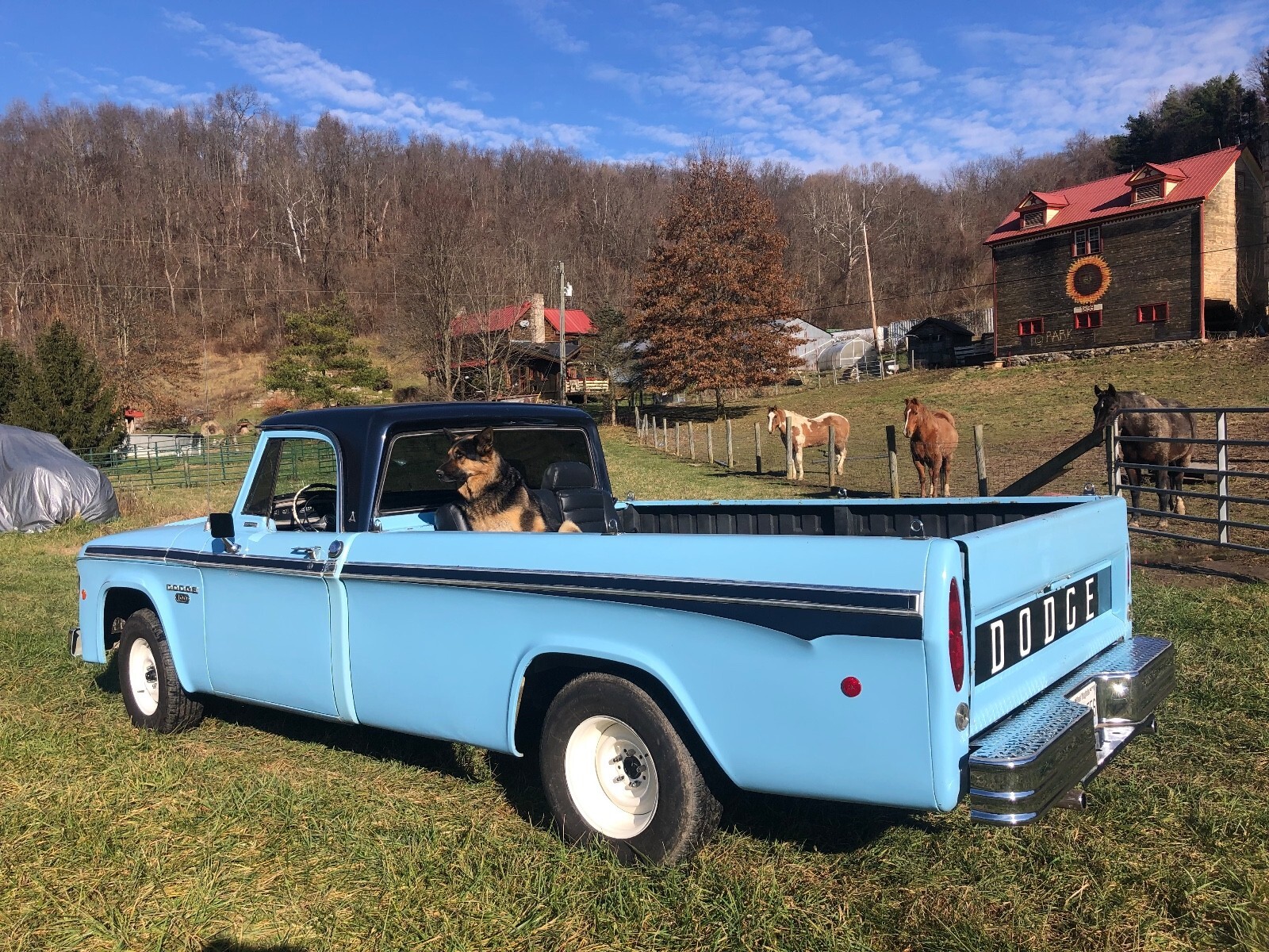 1968 Dodge 1/2 Ton Pickup - photo 13