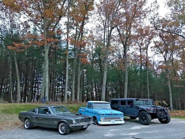 1968 Ford Mustang Eleanor GT500E - photo 4