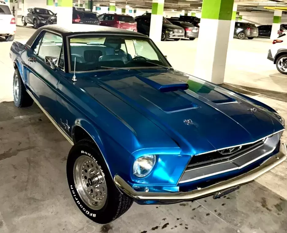 1968 Ford Mustang "C" Code in amazing condition inside and out! Upgraded 289-V8! 1968 Ford Mustang "C" Code MINT!