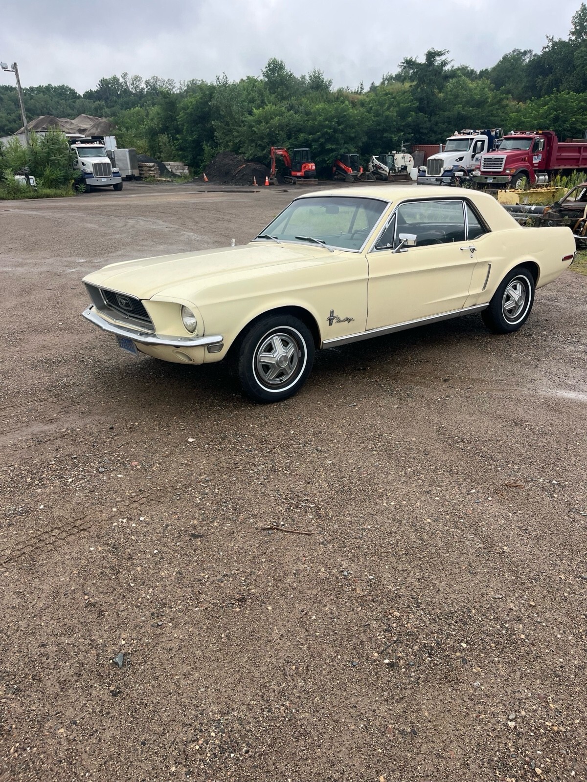 1968 Ford Mustang - photo 2