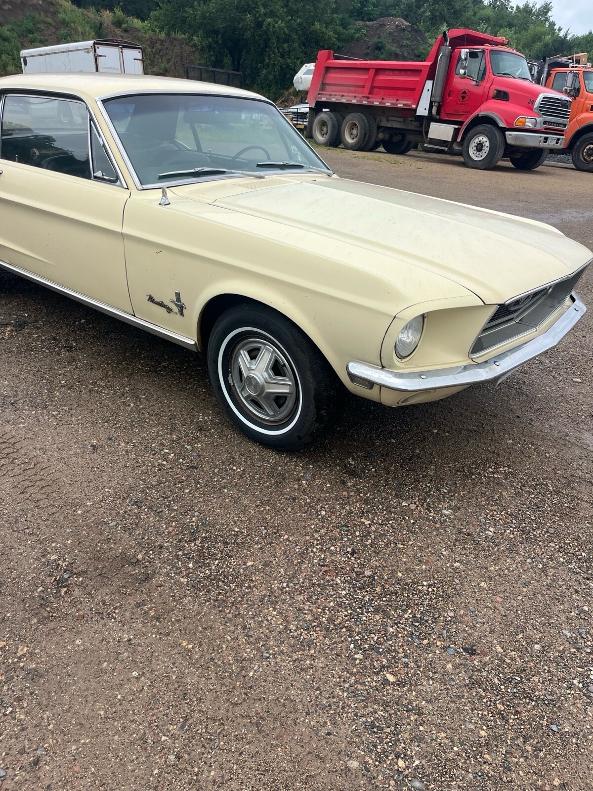 1968 Ford Mustang - photo 4