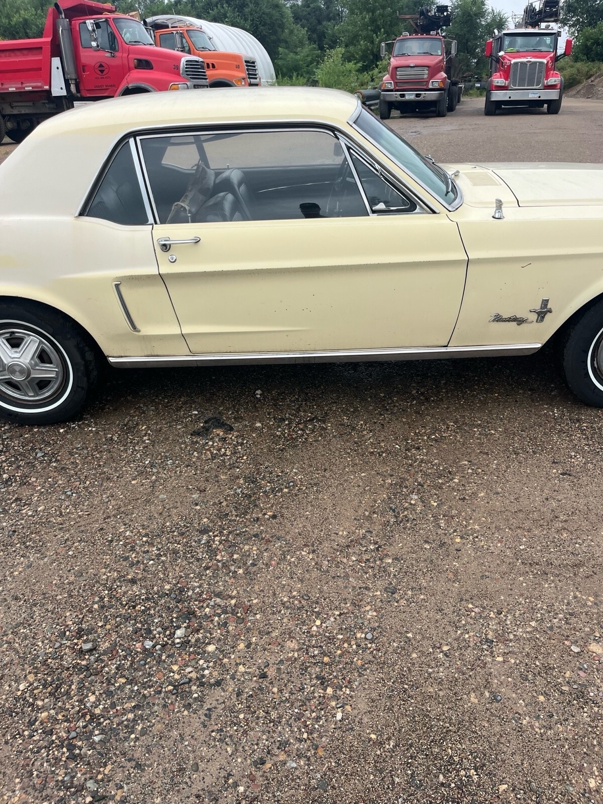 1968 Ford Mustang - photo 5