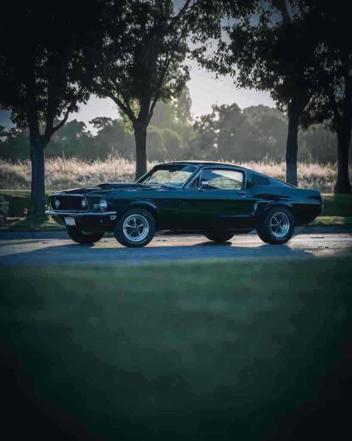 1968 Ford Mustang fastback - photo 12