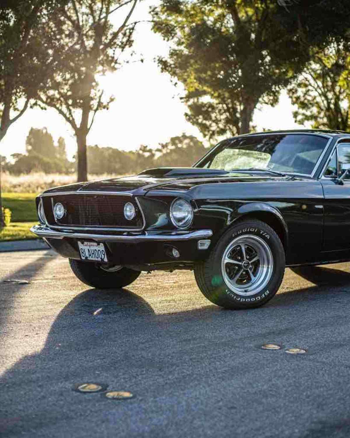 1968 Ford Mustang fastback - photo 2