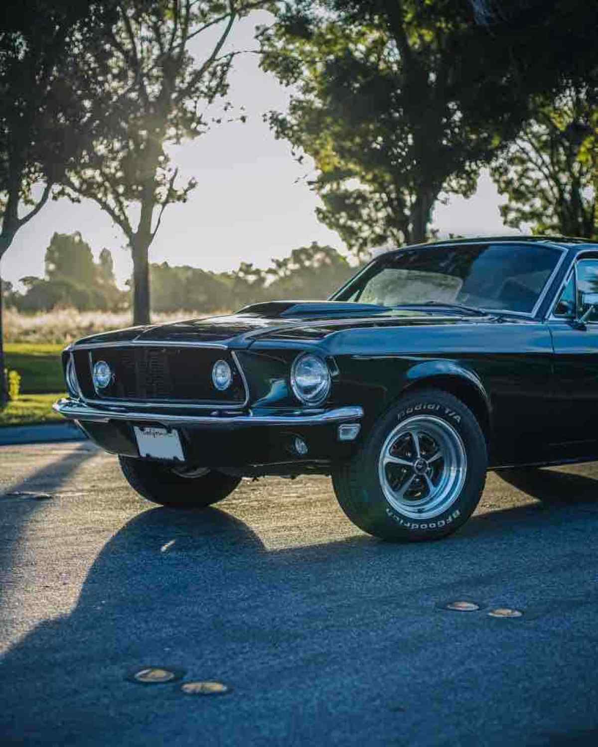 1968 Ford Mustang fastback - photo 6