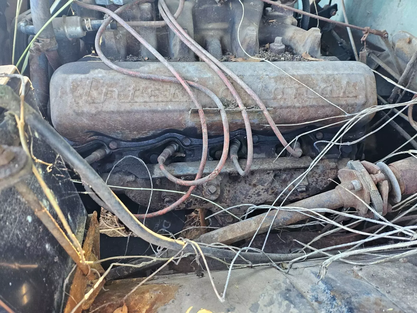1968 International Harvester 1100C - photo 4