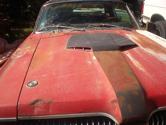 1968 Mercury cougar XR7-G 1968 Mercury Cougar Hertz XR7-G