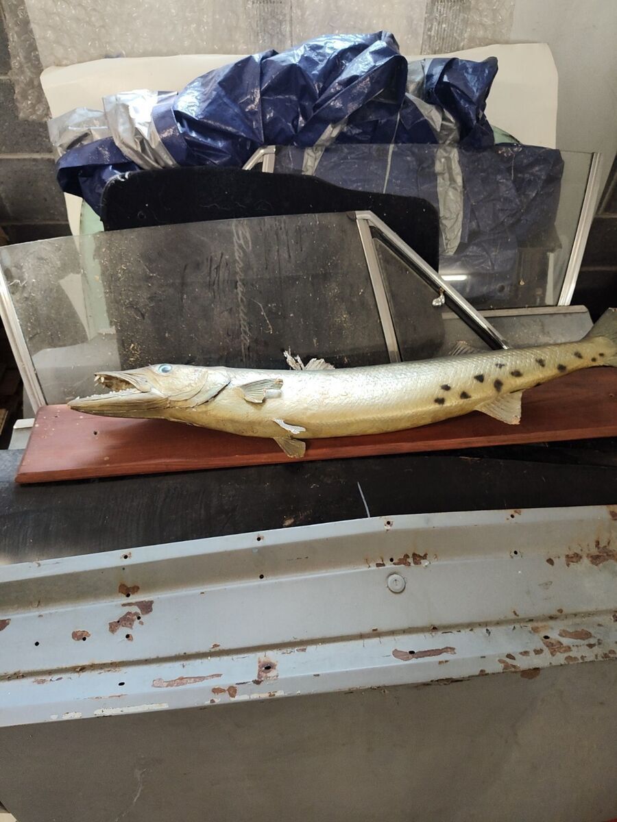 1968 Plymouth Barracuda Fastback - photo 5