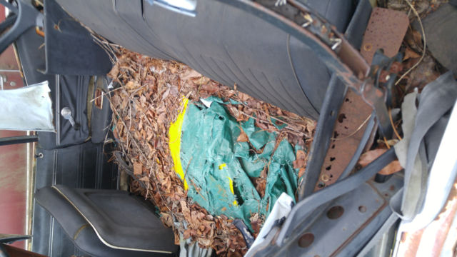 1968 Pontiac GTO - photo 7