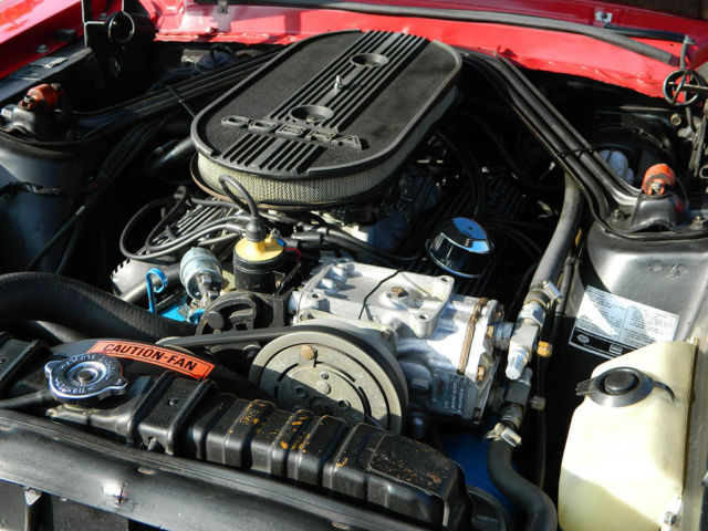 1968 Shelby GT350 FASTBACK - photo 5