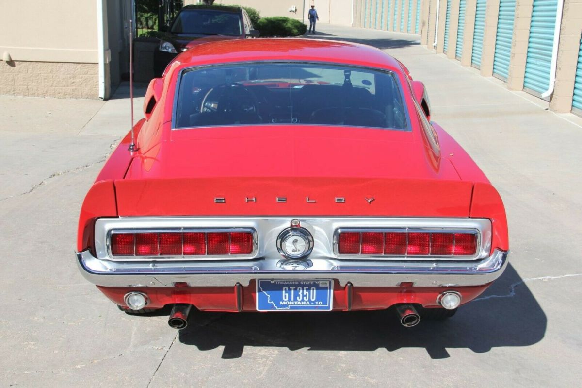1968 Shelby Hertz GT350 Fastback - photo 4