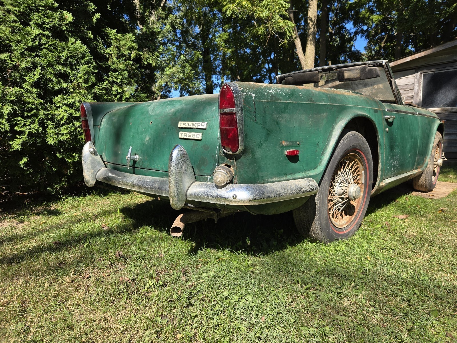 1968 Triumph TR250 - photo 7