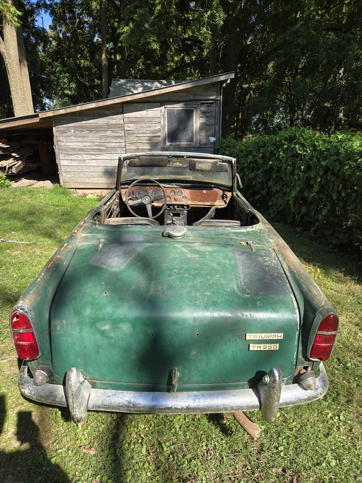 1968 Triumph TR250 - photo 8