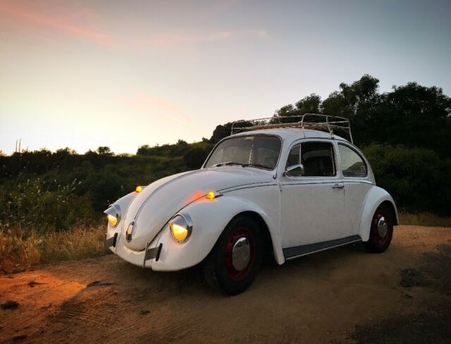 1968 vw beetle, bug, volkswagon, classic 1968 Volkswagen Beetle - Classic