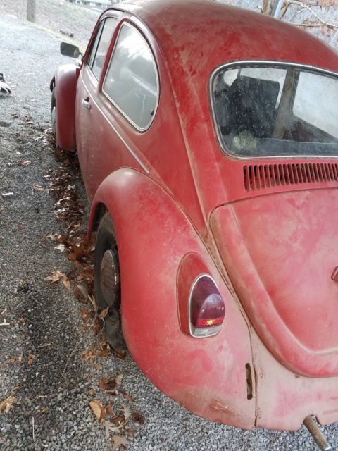 1968 Volkswagen Beetle - Classic - photo 4