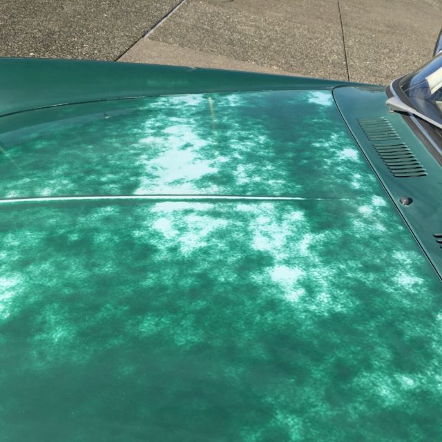 1968 Volkswagen Squareback TYPE 3 - photo 11