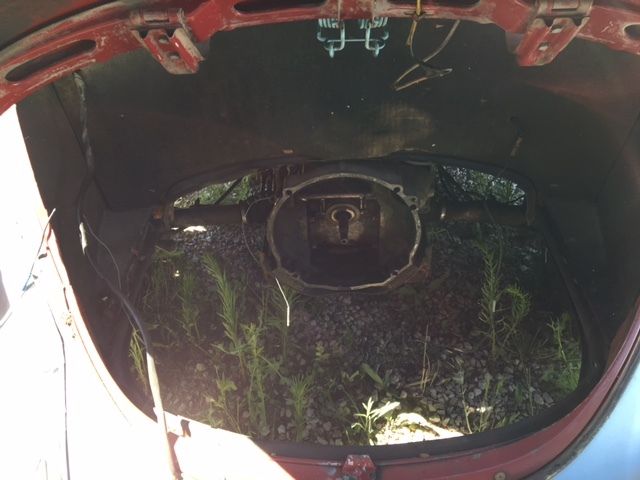 1968 Volkswagen Beetle - Classic - photo 11