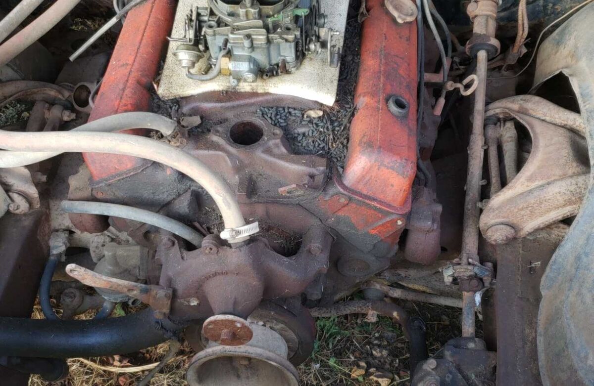 1969 Chevrolet 300 deluxe - photo 7