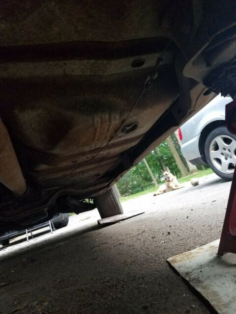 1969 Pontiac GTO - photo 7