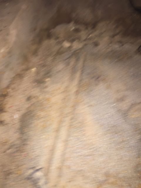 1969 Pontiac Firebird Convertible - photo 4