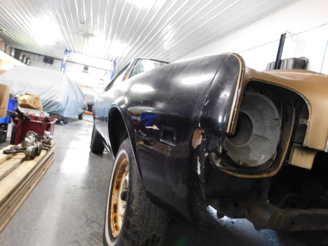 1969 AMC AMX - photo 2