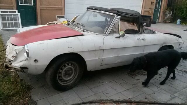 1969 Alfa Romeo 1750 Berlina - photo 3