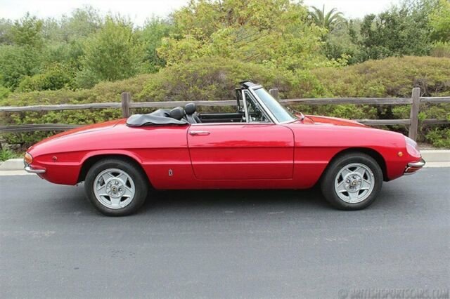 1969 Alfa Romeo Duetto - photo 5