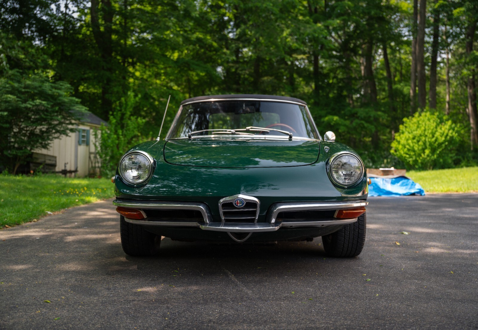 1969 Alfa Romeo Spider - photo 4