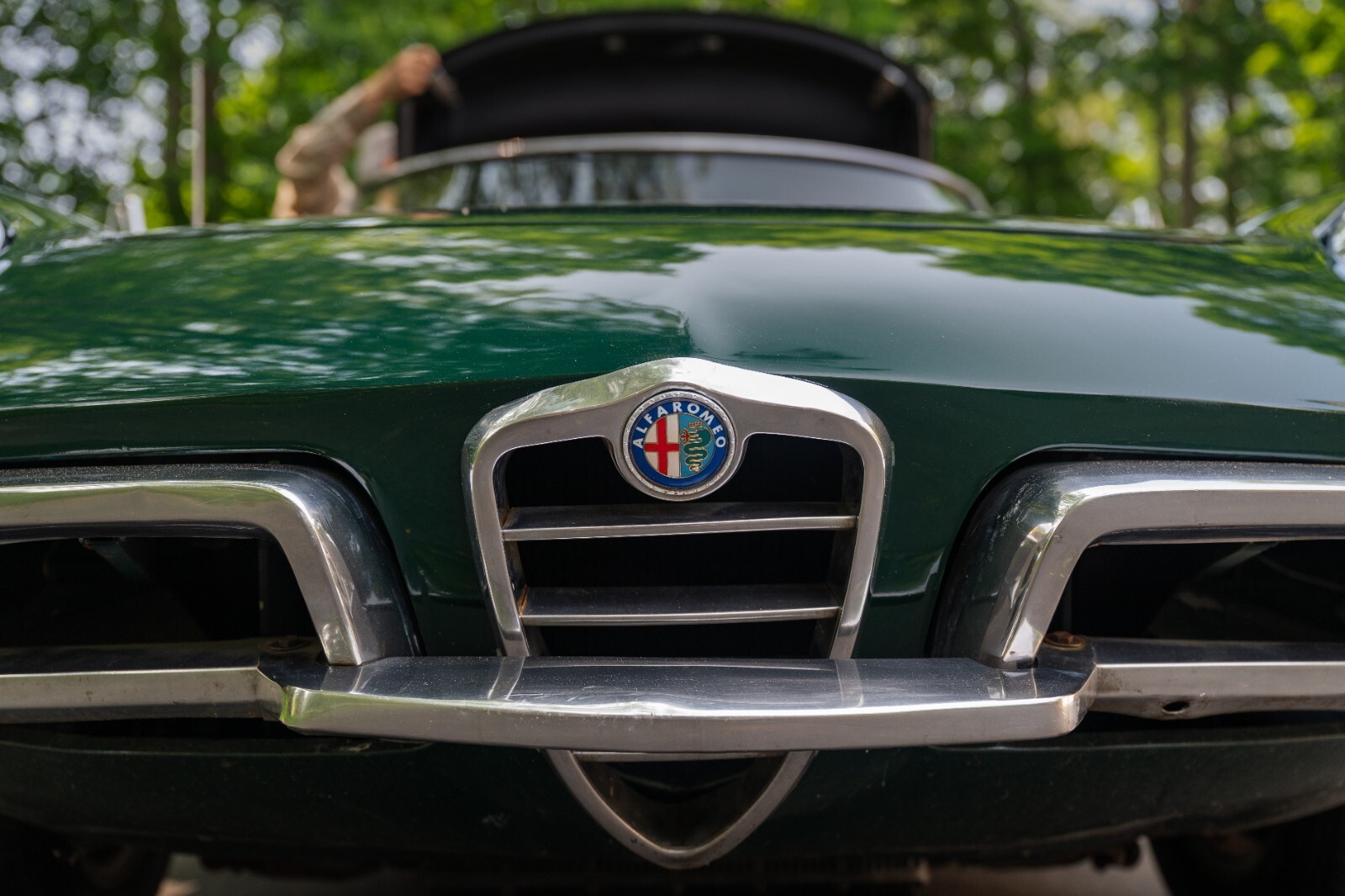 1969 Alfa Romeo Spider - photo 5