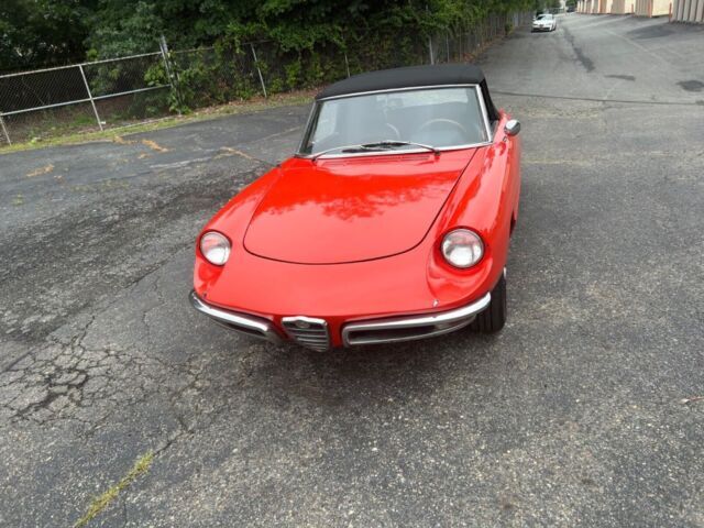 1969 Alfa Romeo Spider - photo 8