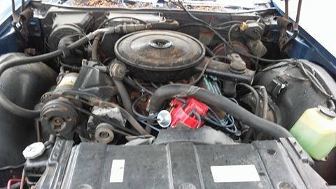 1969 Buick Electra Blue with white top - photo 3