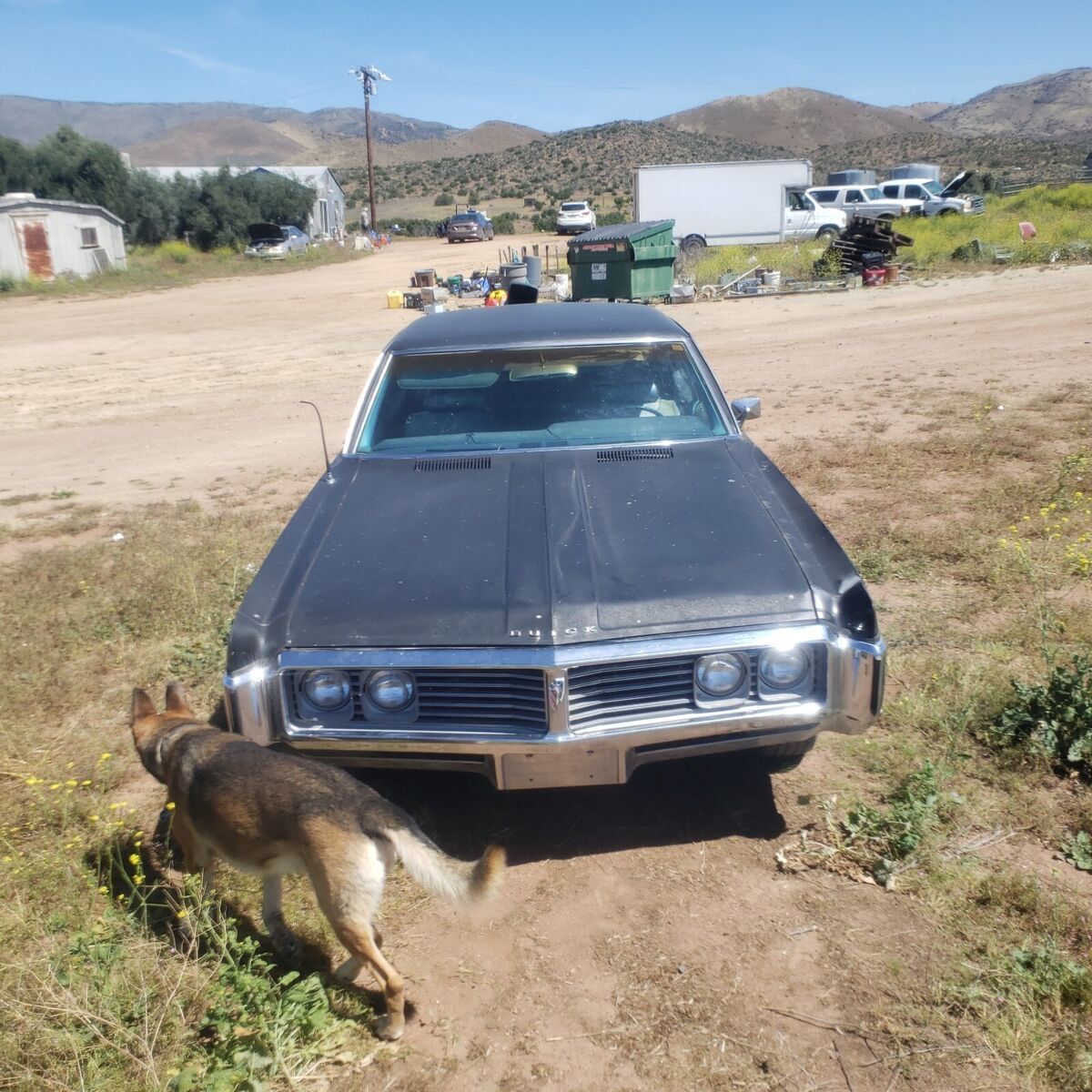 1969 Buick LeSabre - photo 4