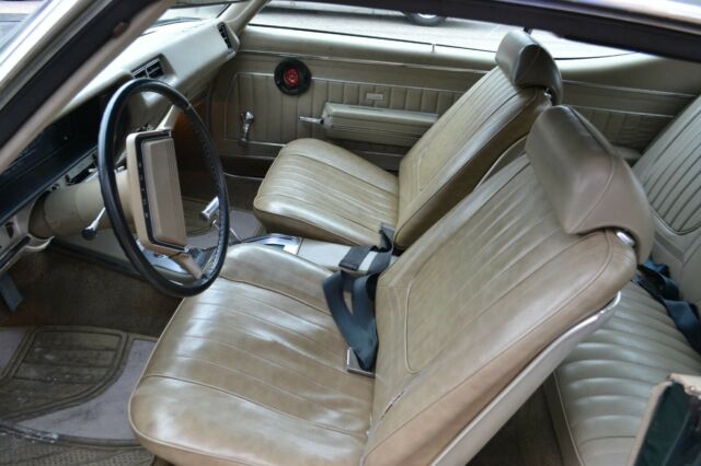 1969 Buick Skylark Custom - photo 5