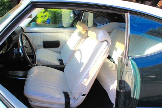 1969 Buick Skylark Custom - photo 6