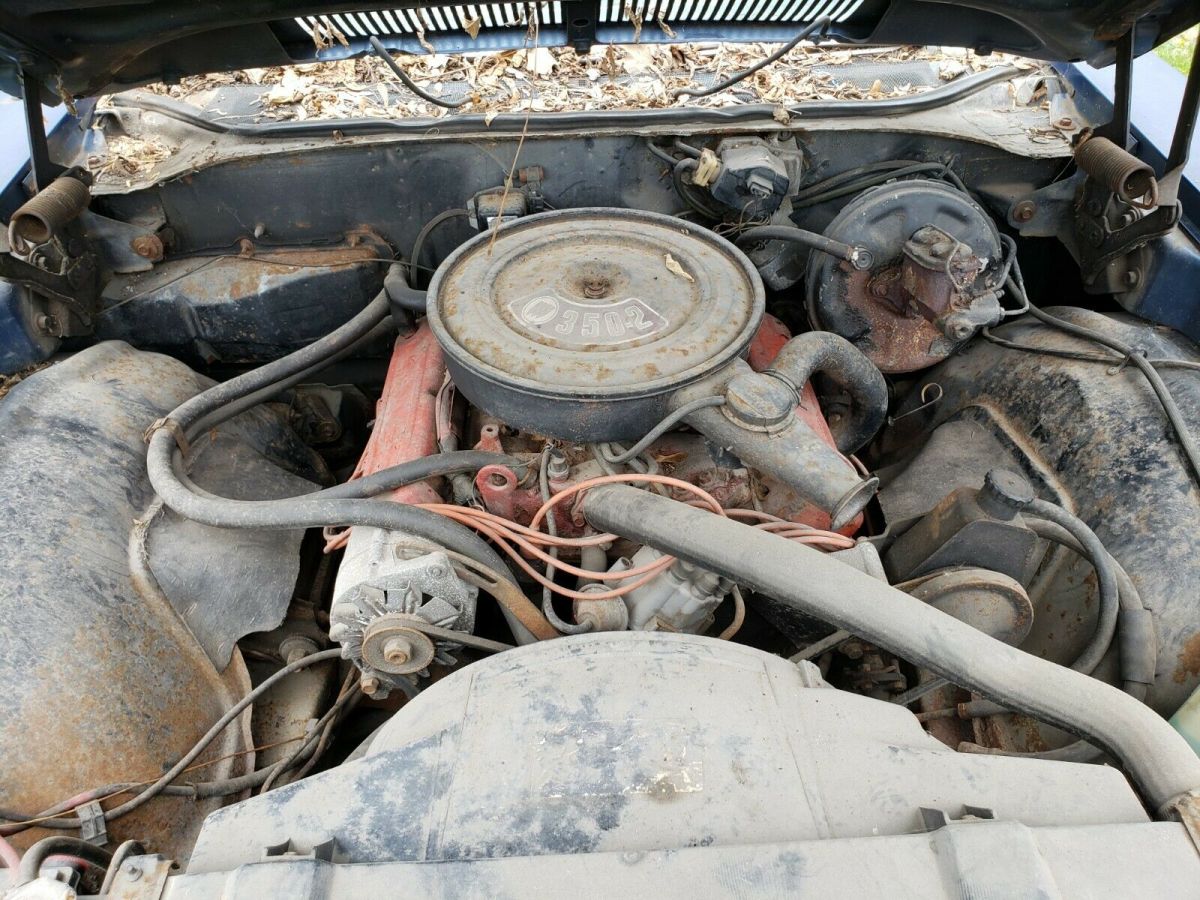 1969 Buick Skylark - photo 6