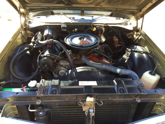 1969 Buick Skylark - photo 12