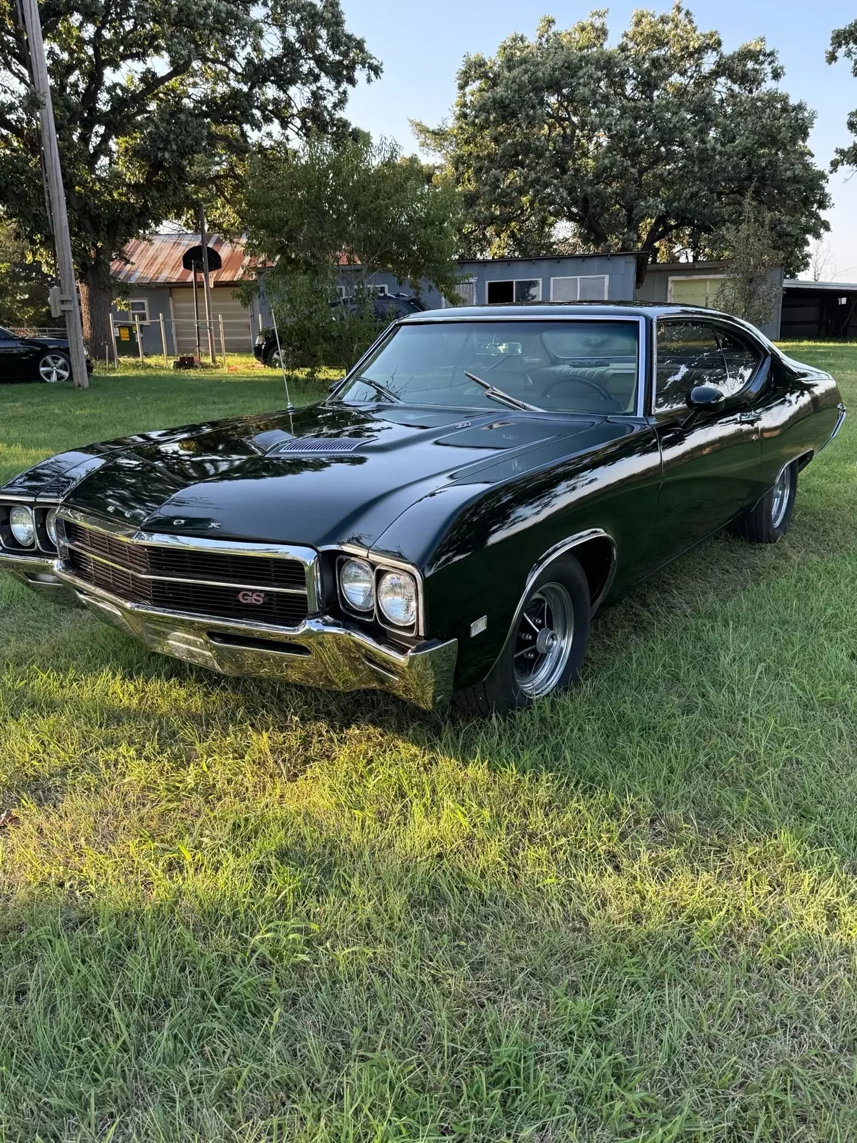 1969 Buick Skylark gs 350