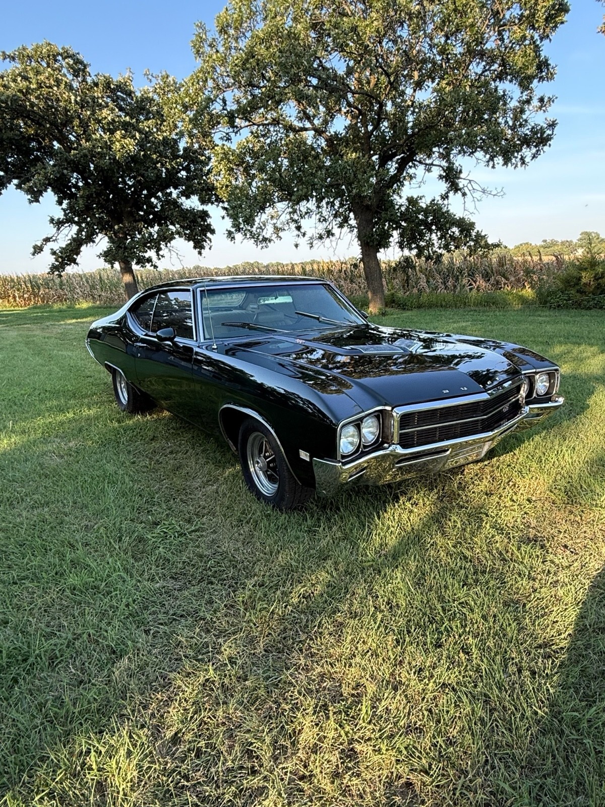 1969 Buick Skylark gs 350 - photo 3