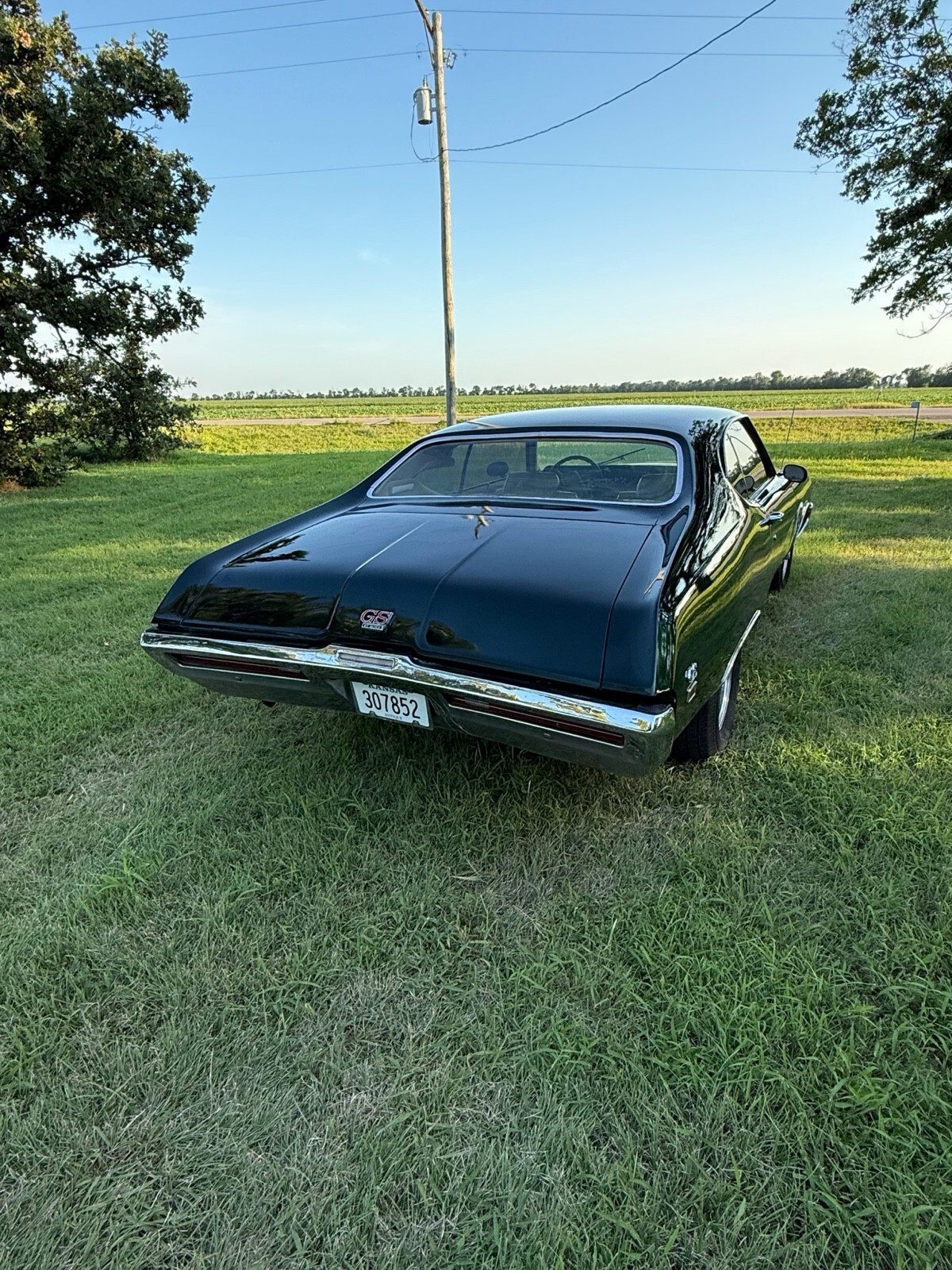 1969 Buick Skylark gs 350 - photo 5