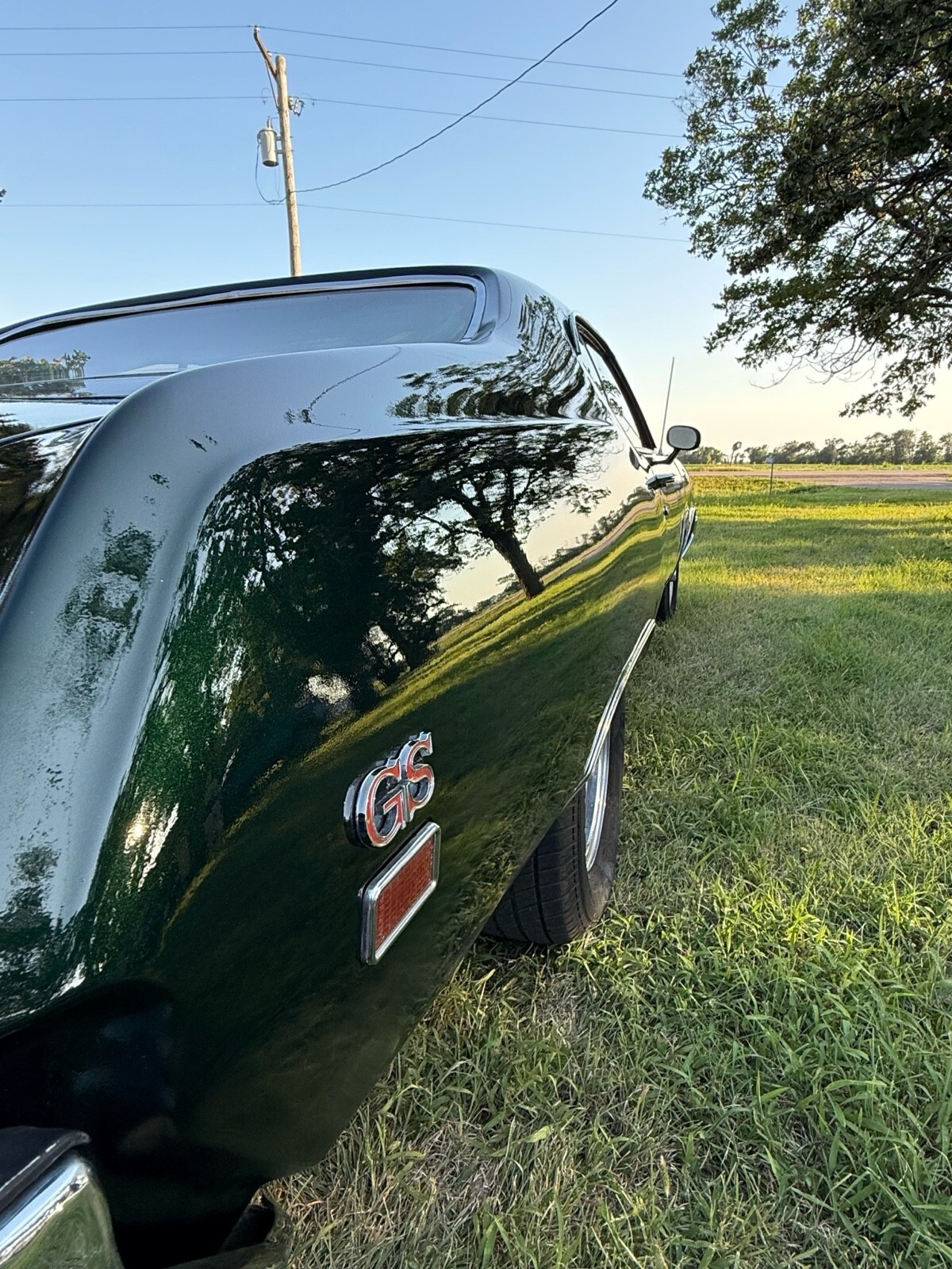 1969 Buick Skylark gs 350 - photo 6