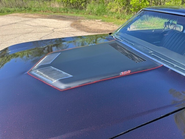 1969 Buick Skylark - photo 3