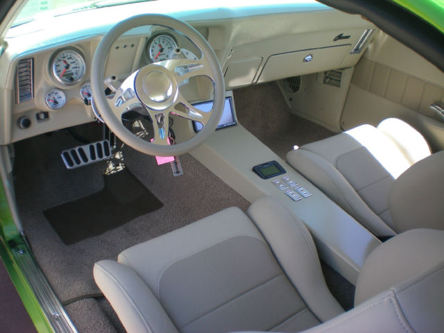 1969 Chevrolet Camaro Pro-Touring - photo 5