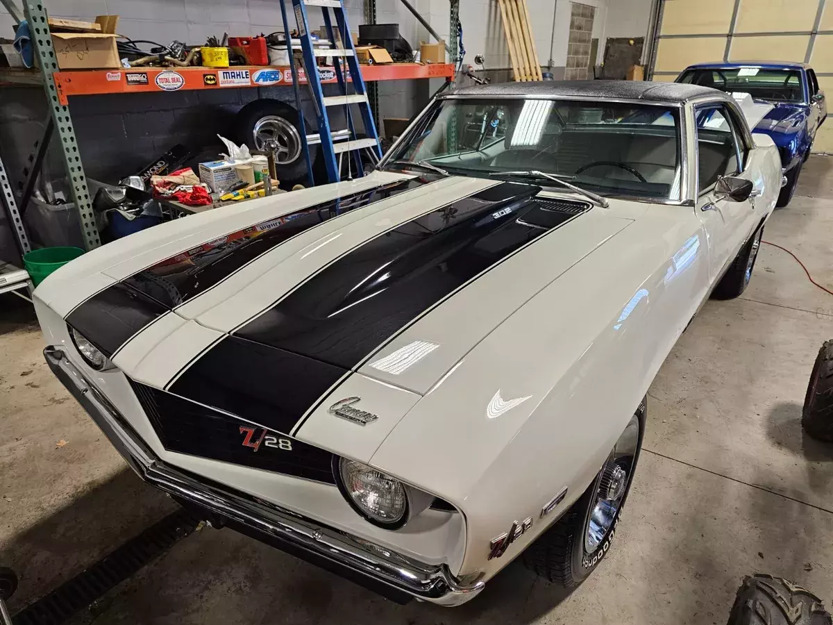 1969 camaro z28 DZ302 Muncie 4 speed x33 1969 Chevrolet Camaro