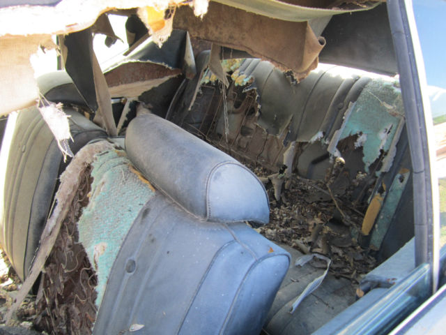 1969 Chevrolet Chevelle Malibu - photo 10