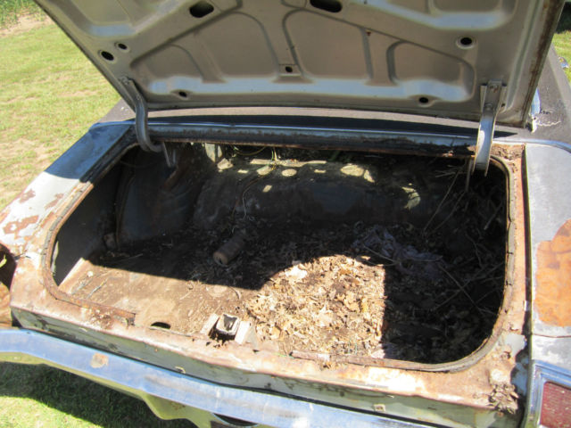 1969 Chevrolet Chevelle Malibu - photo 11